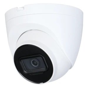 GOLIATH Starlight IP Dome Kamera 4 MP