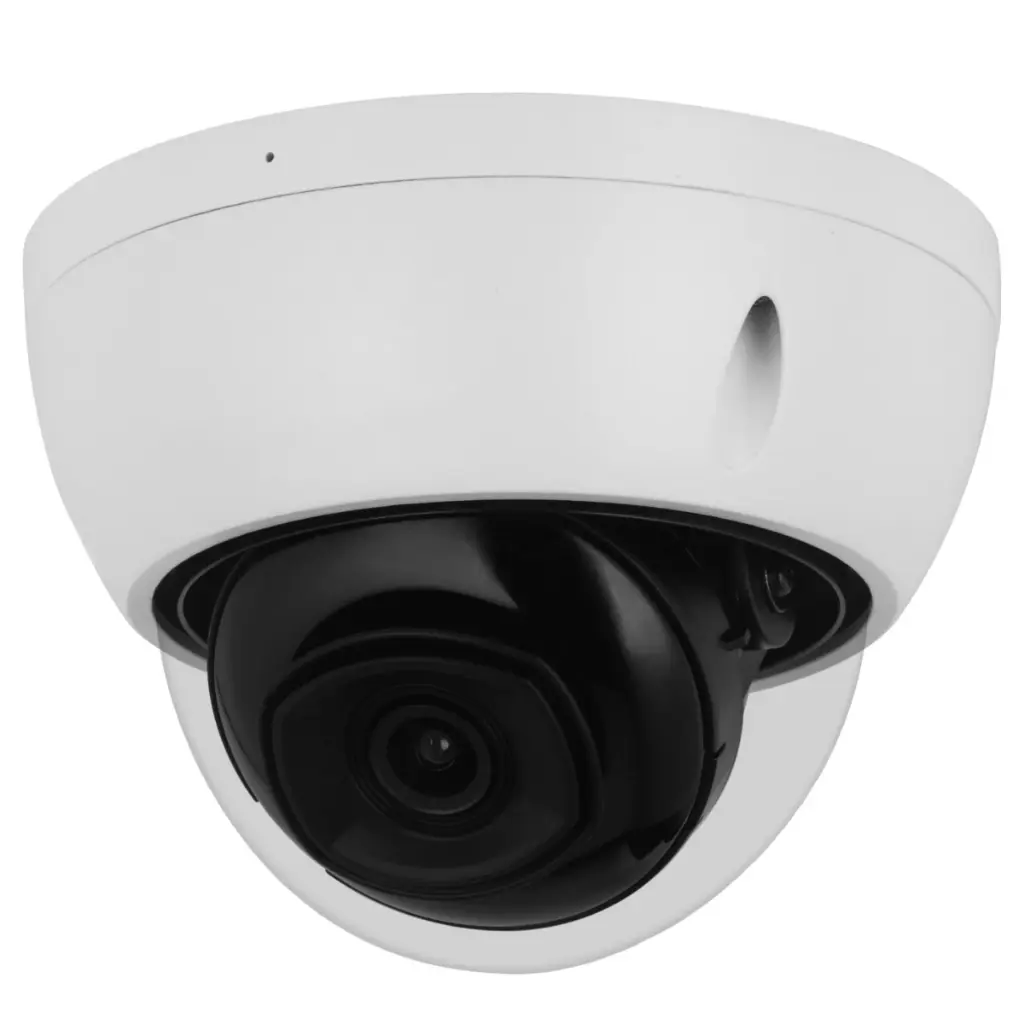 GOLIATH Starlight IP Dome Kamera 4 MP