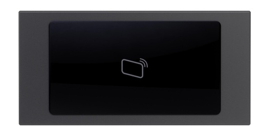 [AV-VTA05-RAV2] GOLIATH Hybrid IP & 2-Draht RFID Modul Anthrazit